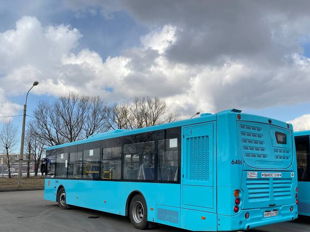 В Петербурге появится 47 бесплатных парковок для туристических автобусов