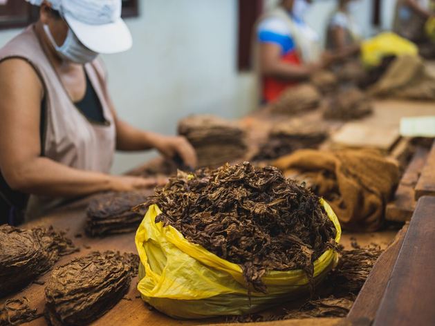 British American Tobacco заключил соглашение о продаже петербургского бизнеса