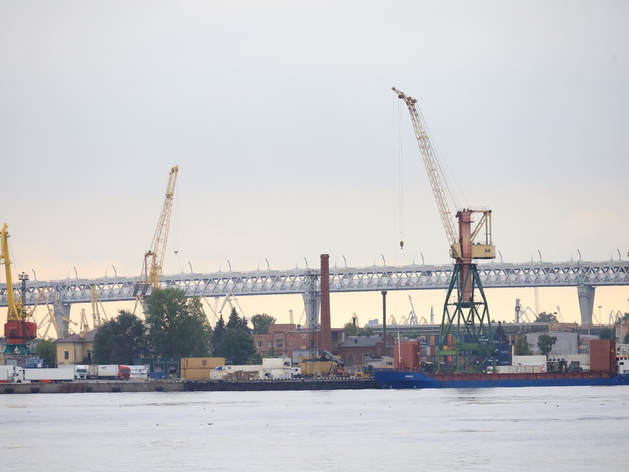 Судопогрузочная машина для терминала Port Favor в Усть-Луге прибудет в январе 2025 года