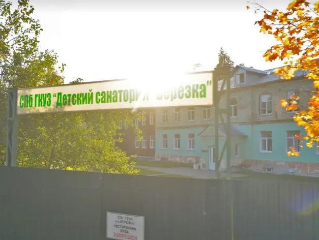 Медицинской частью в проекте реновации «Березки» займется психолог с миллионным ценником Медицинской частью в проекте реновации «Березки» займется психолог с миллионным ценником