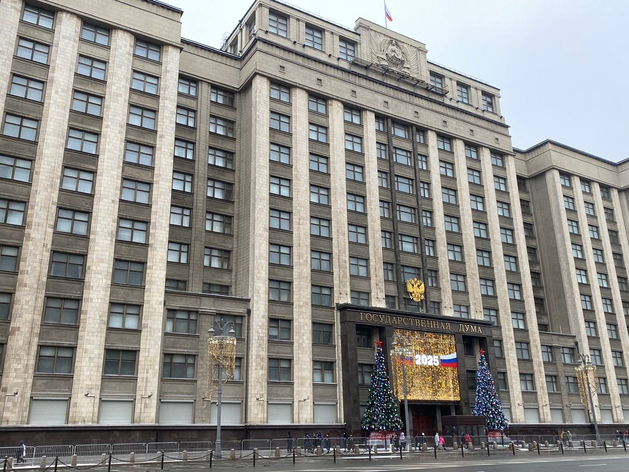 Законом о локализации такси Госдума закроет глаза на трудности пассажиров и бизнесменов?