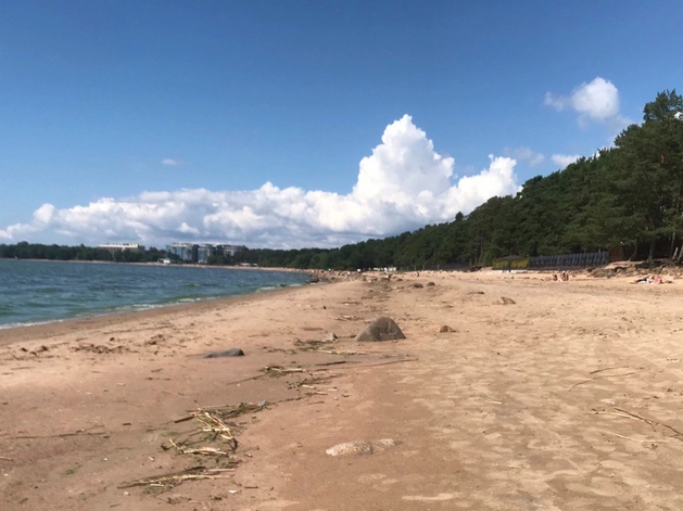Школа водных видов спорта на Финском отбилась от исков Смольного Школа водных видов спорта на Финском отбилась от исков Смольного