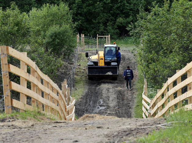 Россельхознадзор нашел в продукции петербургских производителей ДНК свиньи и лекарства Россельхознадзор нашел в продукции петербургских производителей ДНК свиньи и лекарства
