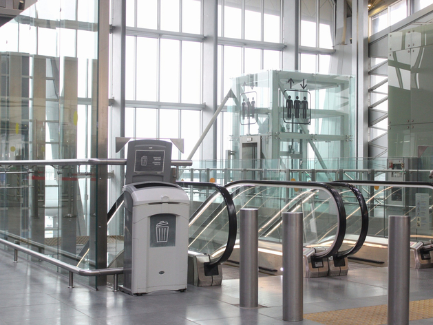 Жемчужное колье за миллионы пытались провезти через Пулково без декларации

