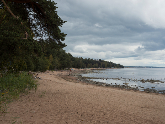 Росприроднадзор добился компенсации за загрязнение у «Северной верфи»

