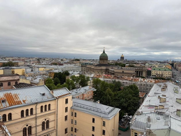 Петербург озеленяют и вырубают: 300 га добавили, 150 тысяч деревьев и кустарников снесут