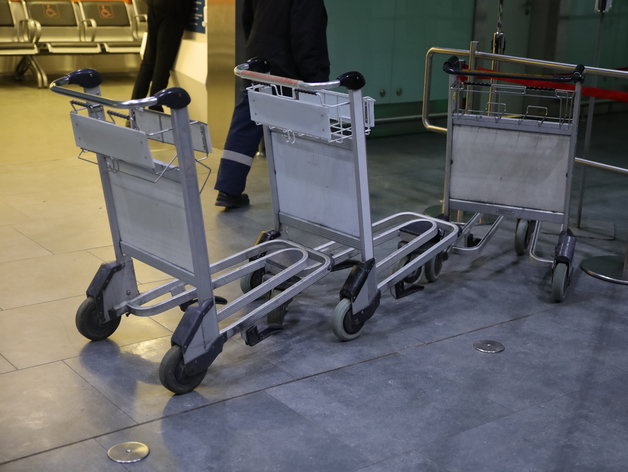 Пулково ограничилось предостережением после гибели собаки при разгрузке багажа