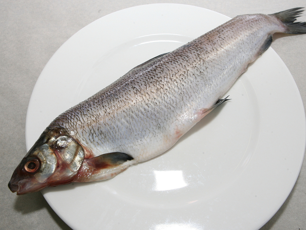 «Юнифрост» может выкупить «Меридиан» и занять 60% рынка крабовых палочек
«Юнифрост» может выкупить «Меридиан» и занять 60% рынка крабовых палочек