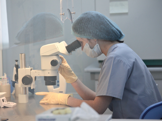 Кипрская компания требует признать банкротом «Медполимера» с долгом более 306 млн рублей Кипрская компания требует признать банкротом «Медполимера» с долгом более 306 млн рублей