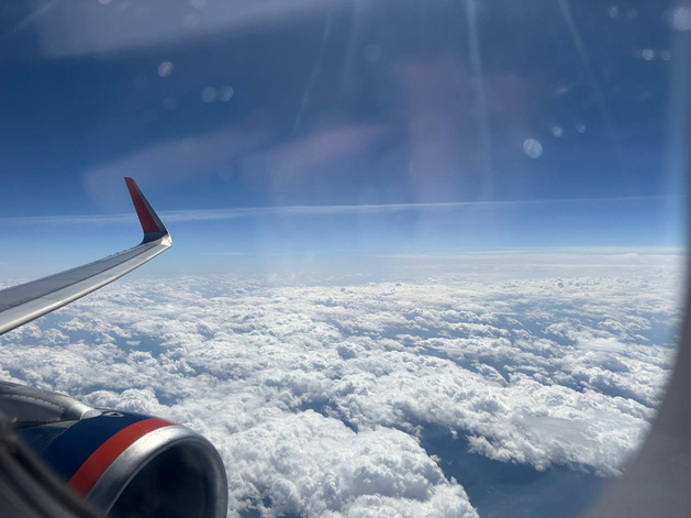 В Пулково за месяц зафиксировали семь инцидентов столкновений самолетов с птицами В Пулково за месяц зафиксировали семь инцидентов столкновений самолетов с птицами