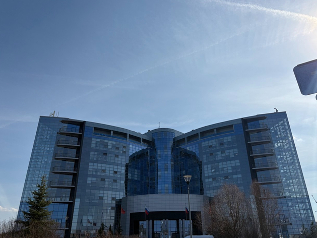 ОЭЗ «Санкт-Петербург» ищет подрядчика для проектирования инфраструктуры в Шушарах
