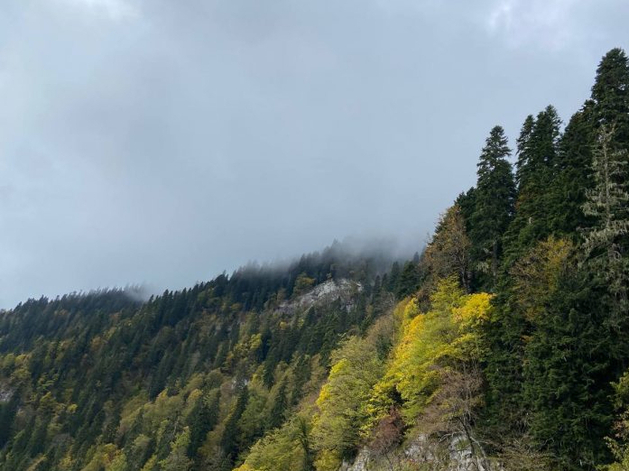 Бывший глава Краснокамского бумкомбината стал гендиректором «Сегежского ЦБК»