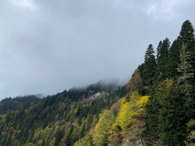 Выручка Segezha Group снизилась до 44,8 млрд рублей в первом полугодии 2025