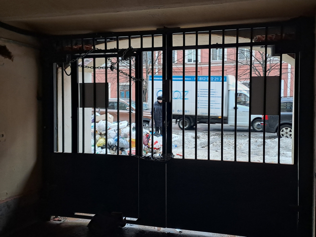 На ликвидацию свалок в Петербурге уже ушло полмиллиарда рублей в 2025 году