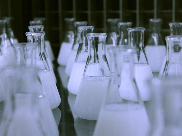 Алексей Лотц вернулся к руководству «Полипласт Северо-Запад» 