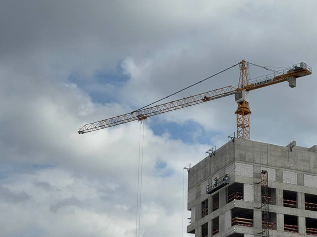 В Петербурге стартует строительство новой ветеринарной лечебницы