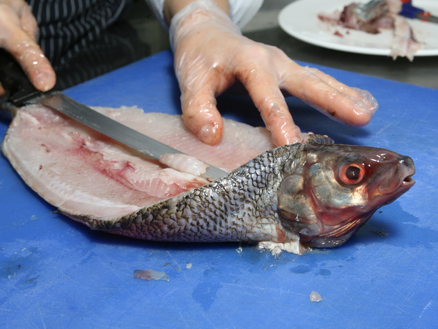 В Санкт-Петербурге продают активы «РОК-1» на Элеваторной площадке с заметной скидкой