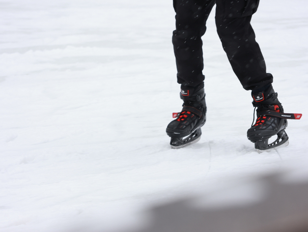 Петербургская организация по проектированию катков столкнулась с угрозой банкротства