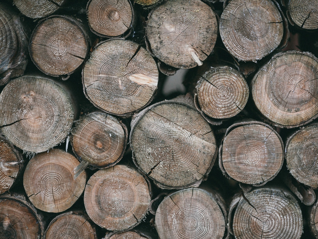 Ладожский ДСК выставили на торги после провала аукциона