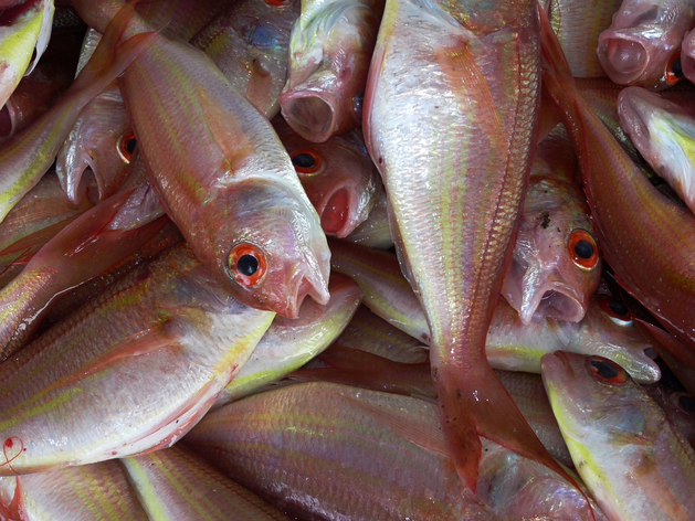 Компании Старобинского урегулировали спор о неплатежах по поставкам рыбы