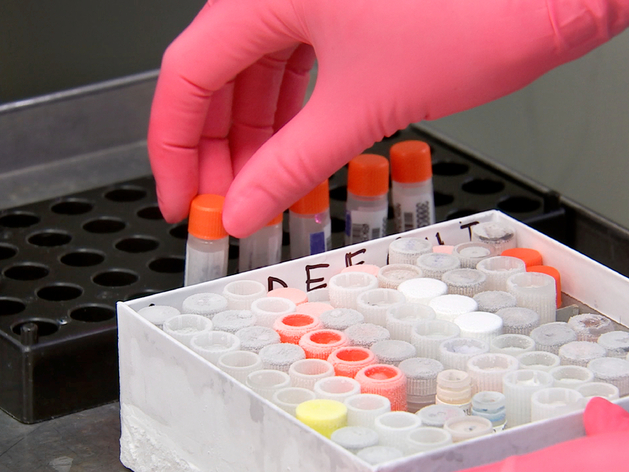 В Сертолово запущено производство вакуумных пробирок и заточенных игольных трубок