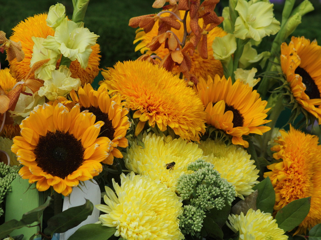 Петербург включил в план благоустройства на 2026 год более 50 новых территорий