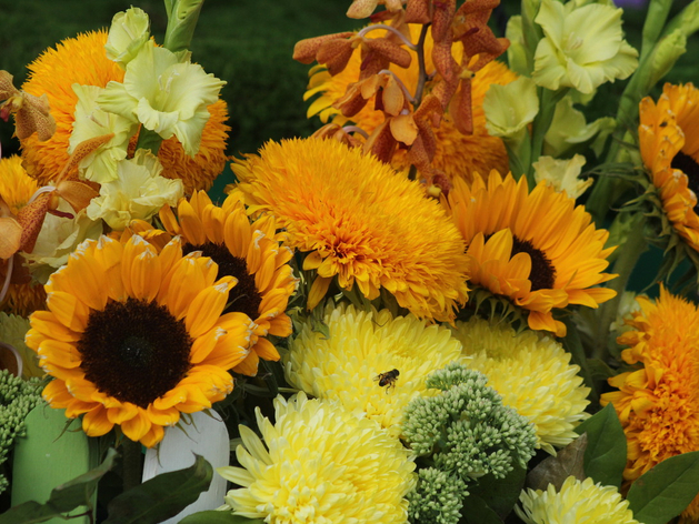 Спор о бренде «Цвети и пахни»: предприниматель из Ленобласти проиграл суд Спор о бренде «Цвети и пахни»: предприниматель из Ленобласти проиграл суд