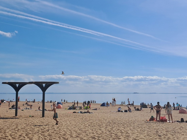В Петербурге запустили проектирование огромной территории под курорт в Горской
В Петербурге запустили проектирование огромной территории под курорт в Горской