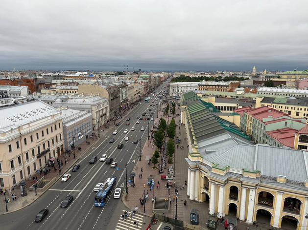 В Петроградском районе молодежь помогает следить за благоустройством