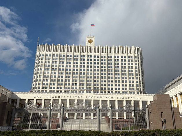Минюст предлагает отсрочить на год взыскание долгов через приставов Минюст предлагает отсрочить на год взыскание долгов через приставов